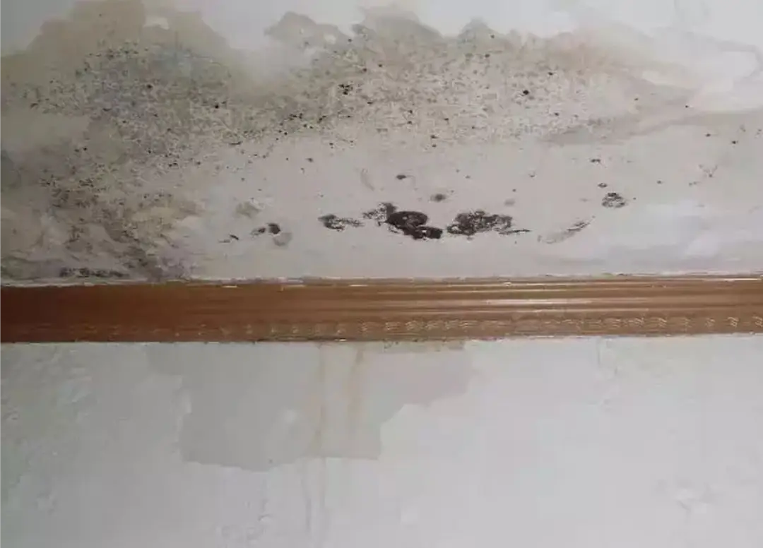 墻壁滲水